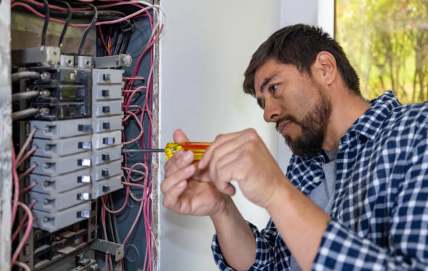 Best Electrical System Inspection  in Estill, SC